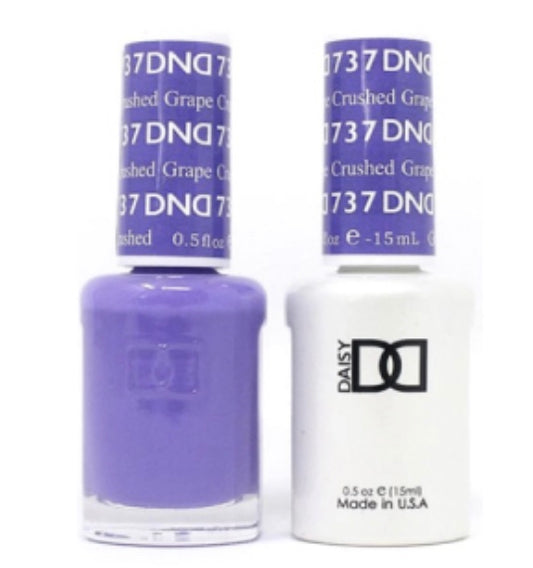 DND Daisy 2/Pack Crushed Grape